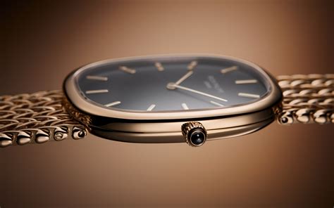 patek philippe golden ellipse on wrist|Golden Ellipse Ref. 5738/1R.